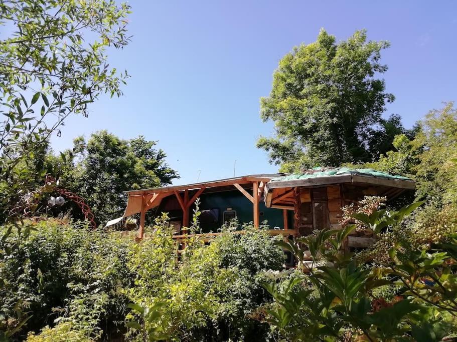 Truck & Pod Creative Nature Retreat. Bantry Ngoại thất bức ảnh
